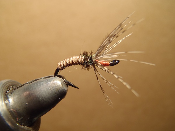 Finished Camel Hair Sakasa Kebari with Peacock Herl