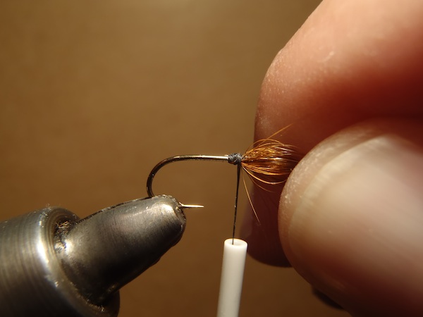 Fly Tying for Beginners: Learn Tools, Materials, & Tips on How to Tie Flies