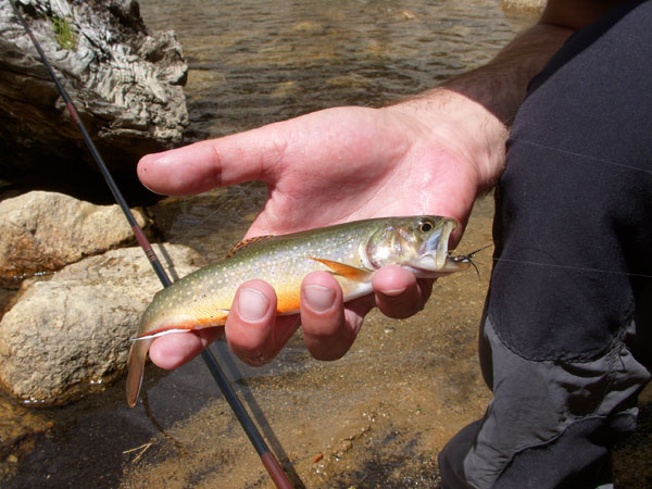 Tenkara-Mt.-Whitney-5