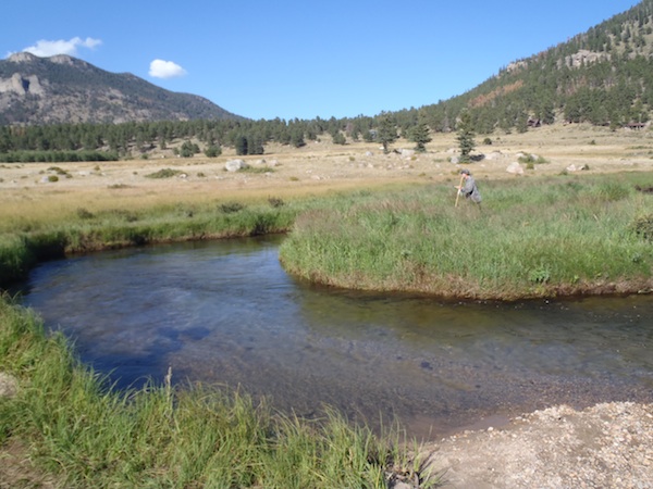 Tenkara Bum Working the Big Thompson