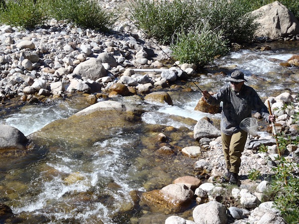 Tenkara Bum Working the Roaring River