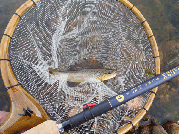 First-Fish-on-Tenkara-USA-Ito