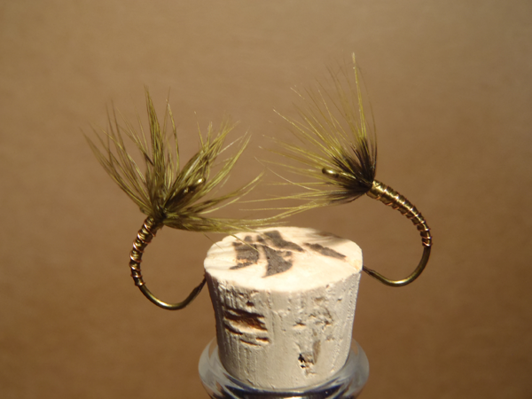 Sakasa Kebari with Brahma Hackle