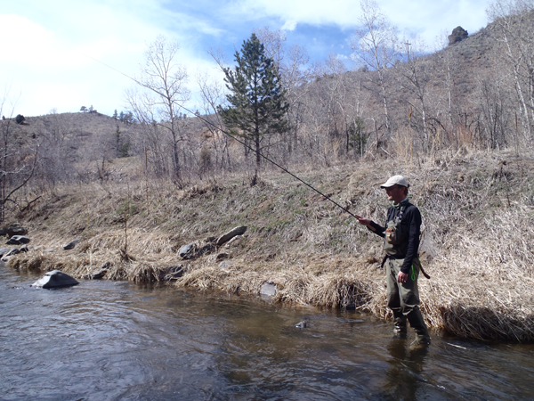 Tenkara Fishing on Bear Creek