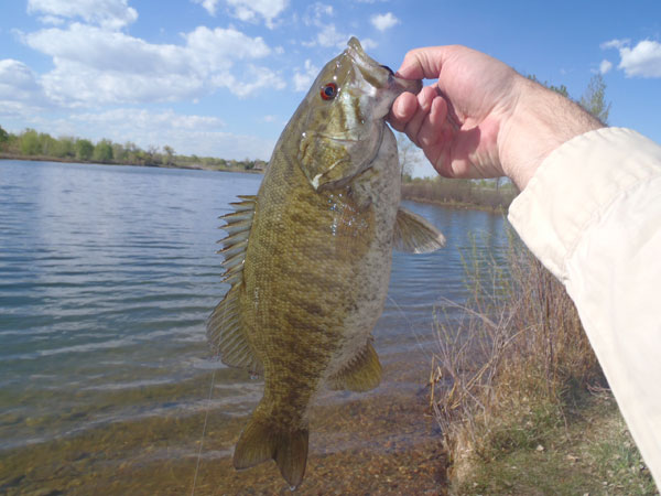 Tenkara Bass