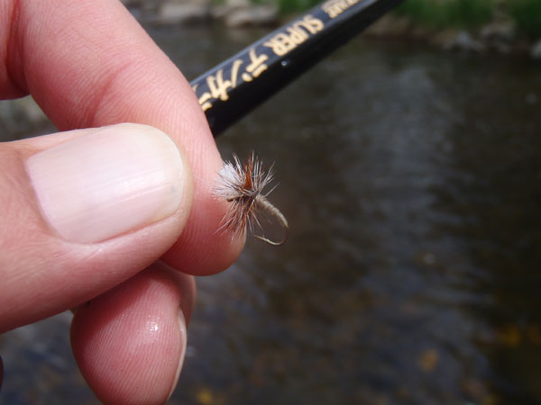 Japanese Hammer dry fly