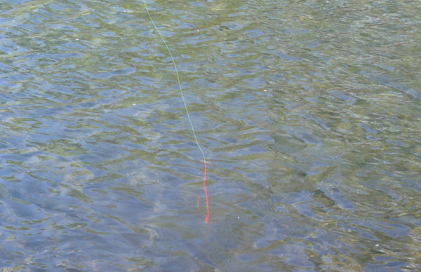 Tenkara Line with amnesia strike indicator