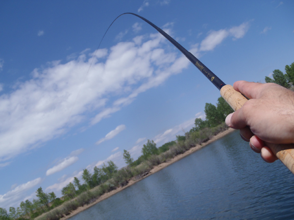 Tenkara and the eleventh color