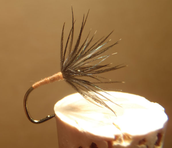 Starling Hackle Sakasa Kebari on a #2 Amano Hook