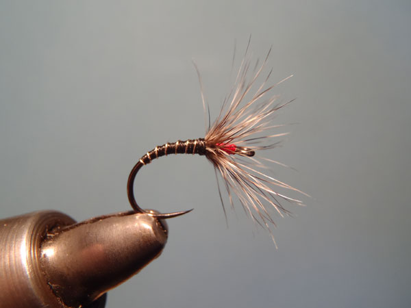 Sakasa Kebari on an Umpqua competition hook