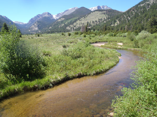 The Fall River in Rocky Mountain National Park