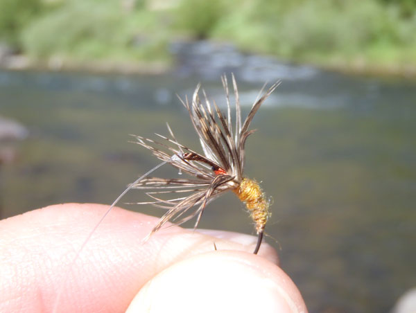 Burnt Orange & Partridge Sakasas Kebari Dry