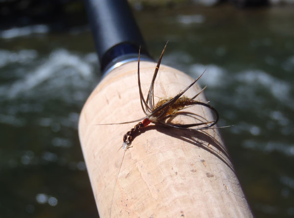 Burnt Orange & Partridge Sakasas Kebari Wet