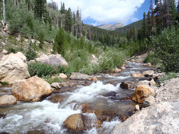 The Roaring River in Rocky Mountain National Park