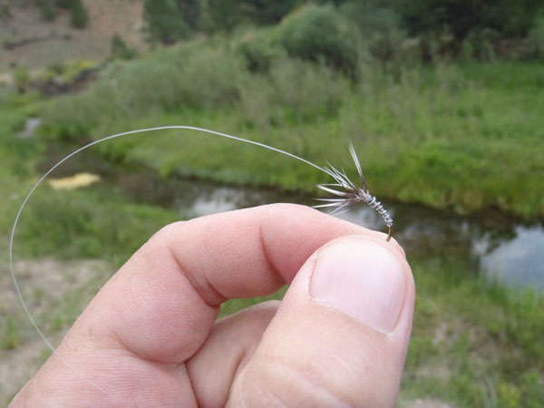 Tenkara Spring Creek Fishing