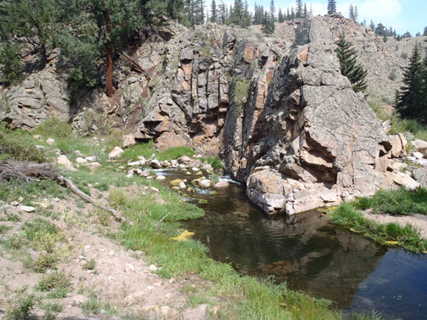 Tenkara Spring Creek Fishing