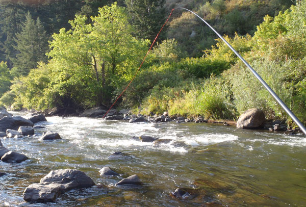 Amnesia Tenkara Line