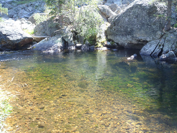 North Inlet Creek Pool