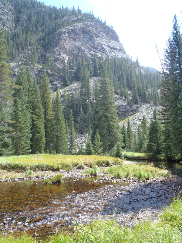 North Inlet Creek Scenery