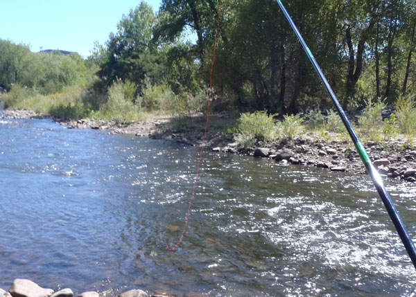 Amnesia Furled Tenkara Line on the water