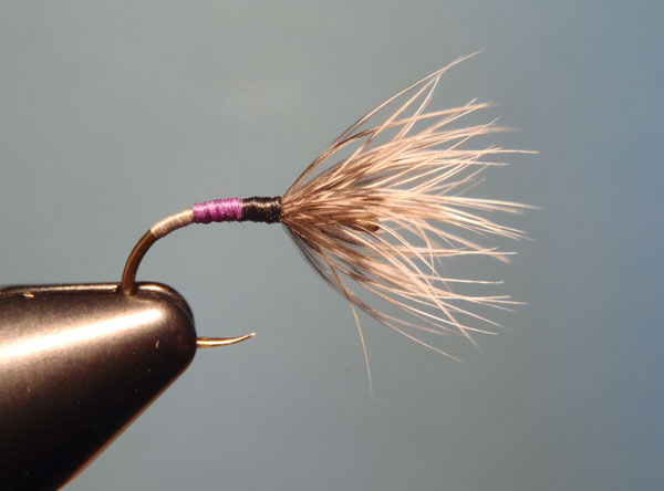 Grey, Purple & Black Sakasa Kebari with Natural Brahma Hen Hackle