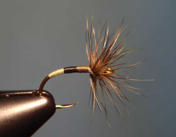 Chartreuse, Black, and Olive Dun Sakasa Kebari with Olive Grizzly Hackle