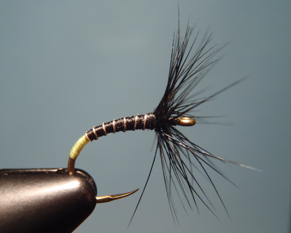 Viva Sakasa Kebari Tenkara Fly