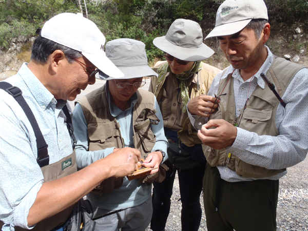 Fishing with Japanese Tenkara Anglers