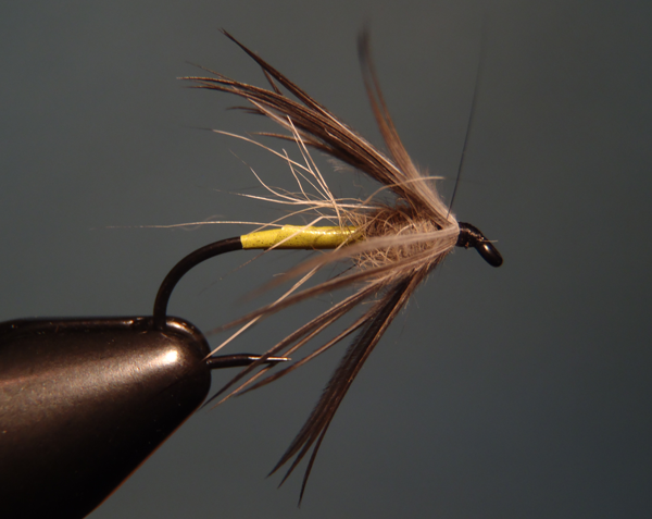 Soft hackle fly with a Mylar balloon body