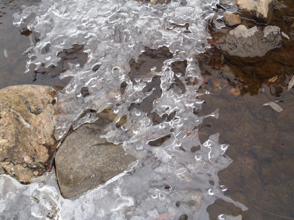 Ice on Bear Creek