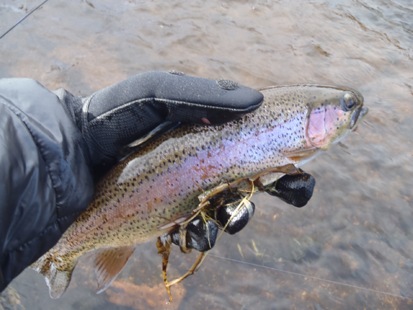 South Platte Rainbow