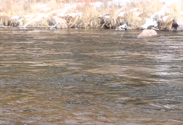 Tenkara nymph line