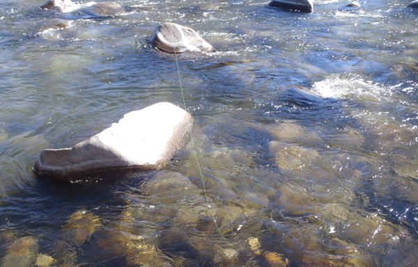 Yamatoyo tenkara line on the water