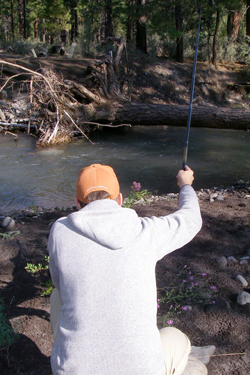 Fishing an Oregon stream with a friend’s Daiwa rod. The control offered by the tenkara gear and light fly really allowed Jason to work this area effectively while staying low and less obvious (and with zero cover that was key). A real tenkara advantage here.