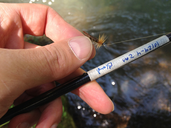 Jason borger tenkara rod with fly