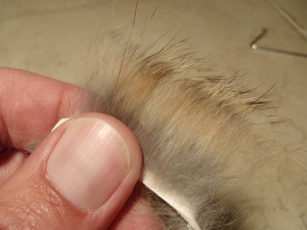 Fur-hackled Tenkara Fly