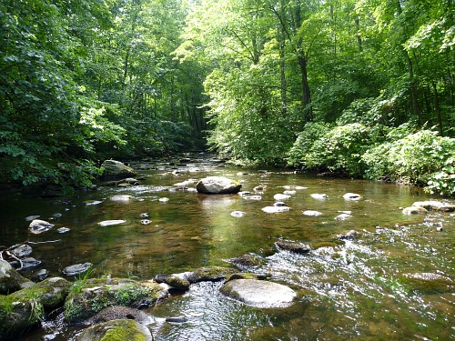 A Typical Tenkara Bum stream