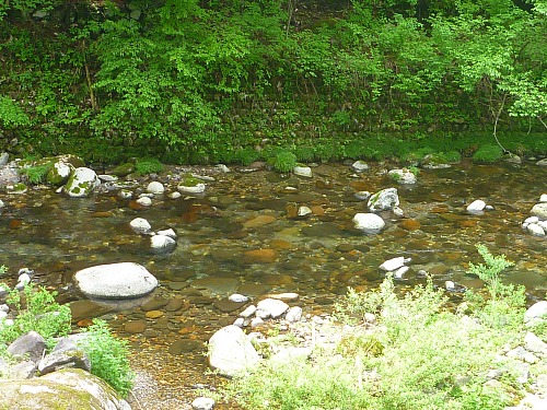 Japanese trout stream