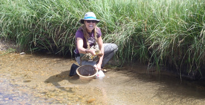 12" Moraine Park Brown Trout