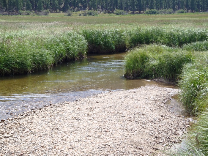 Tenkara Undercut Bank