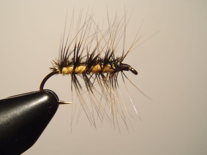 FC Crackleback Fly