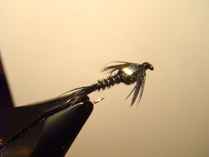 Black Flashback Pheasant Tail