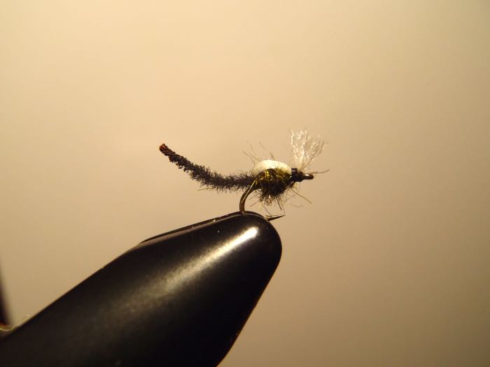 Palomino Midge