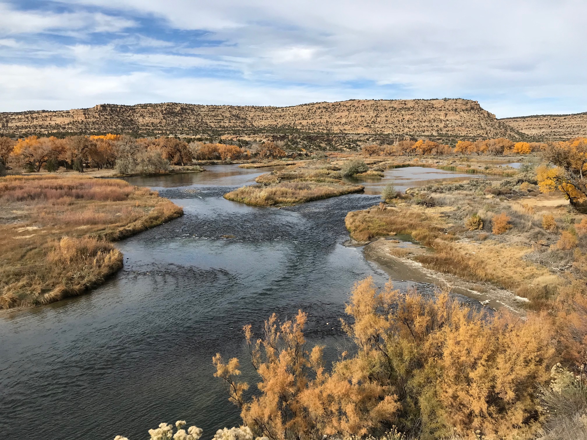 San Juan River, New Mexico