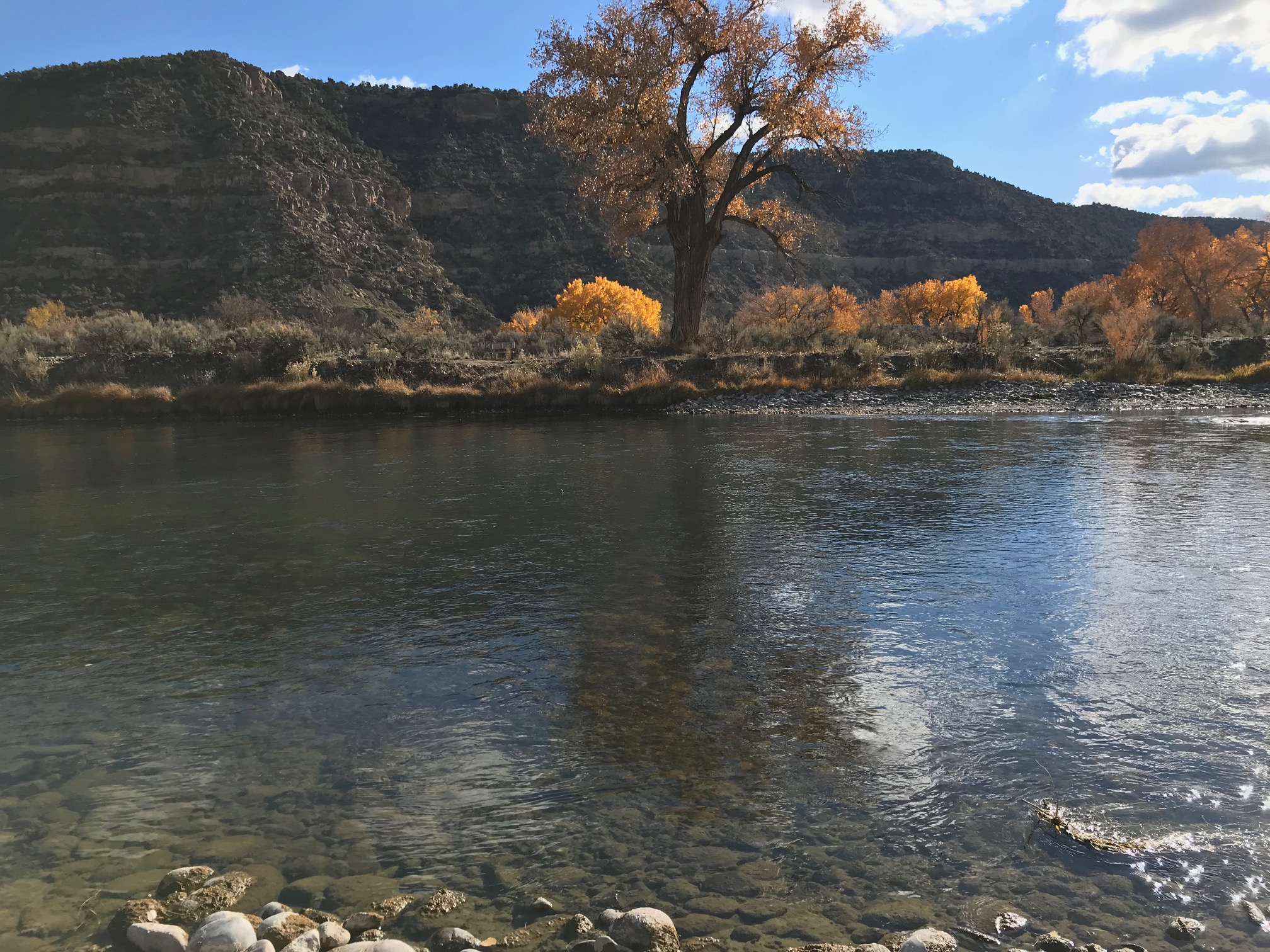 San Juan River Crusher Hole