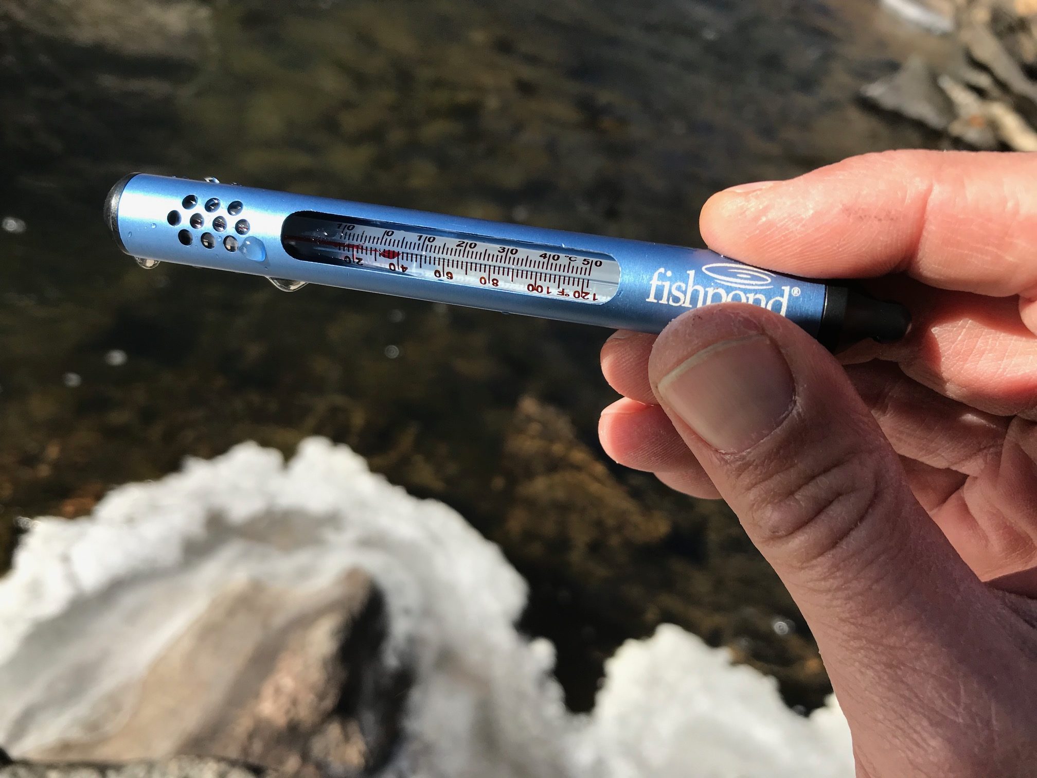 Trout & Temperature