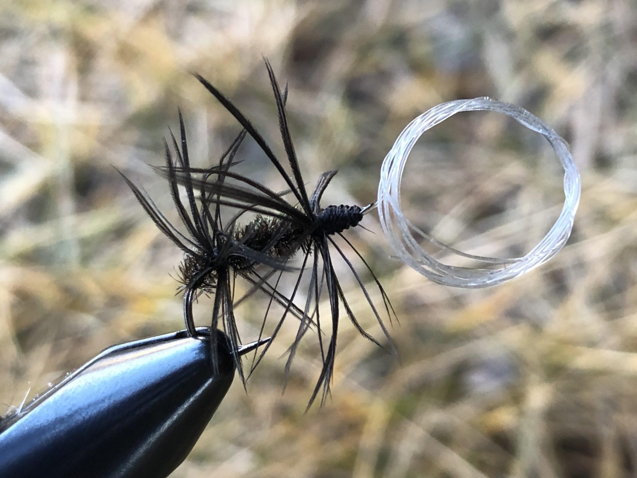 Traditional Flies of Western Japan