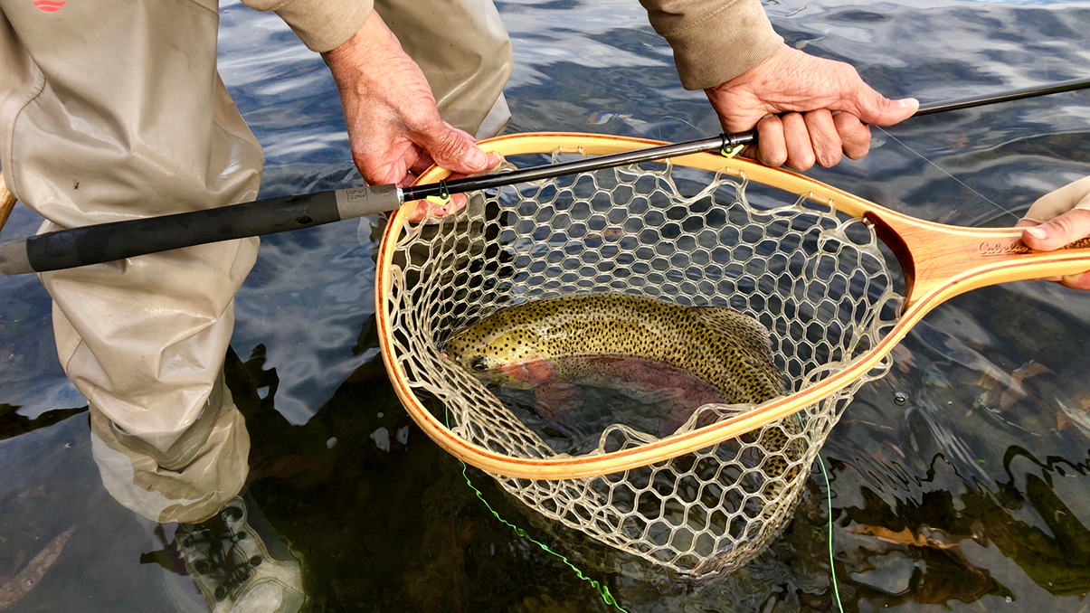 Win a free Tenkara Tanuki Ninja