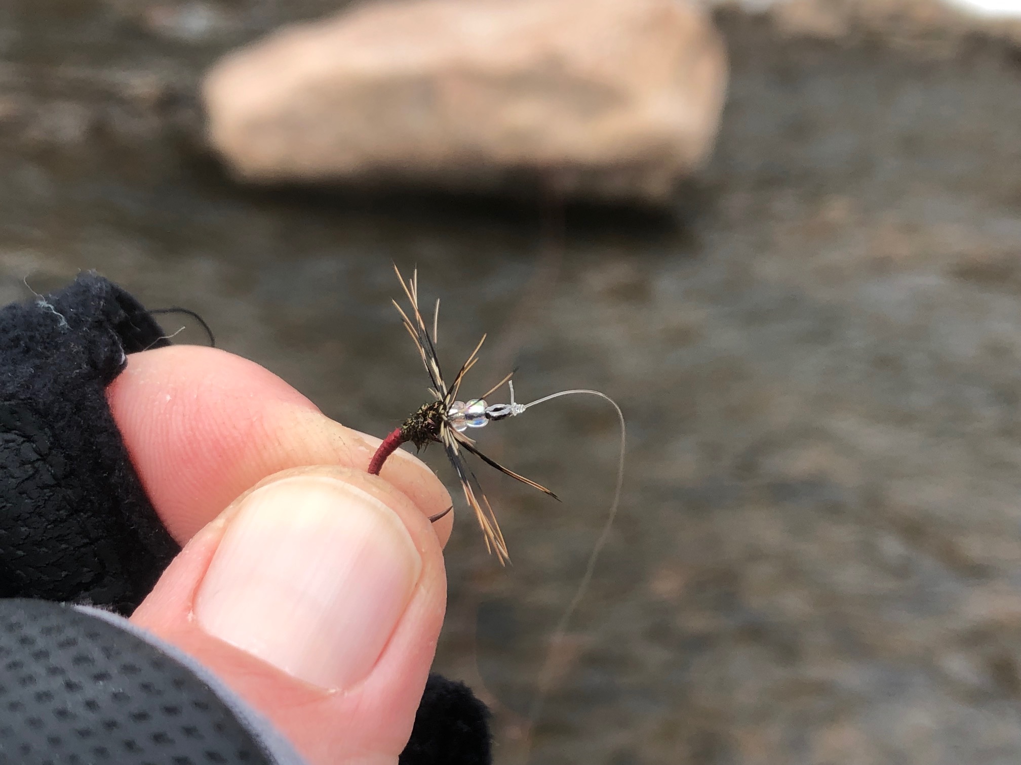 Jason Klass Fishing Tenkara on the St. Vrain