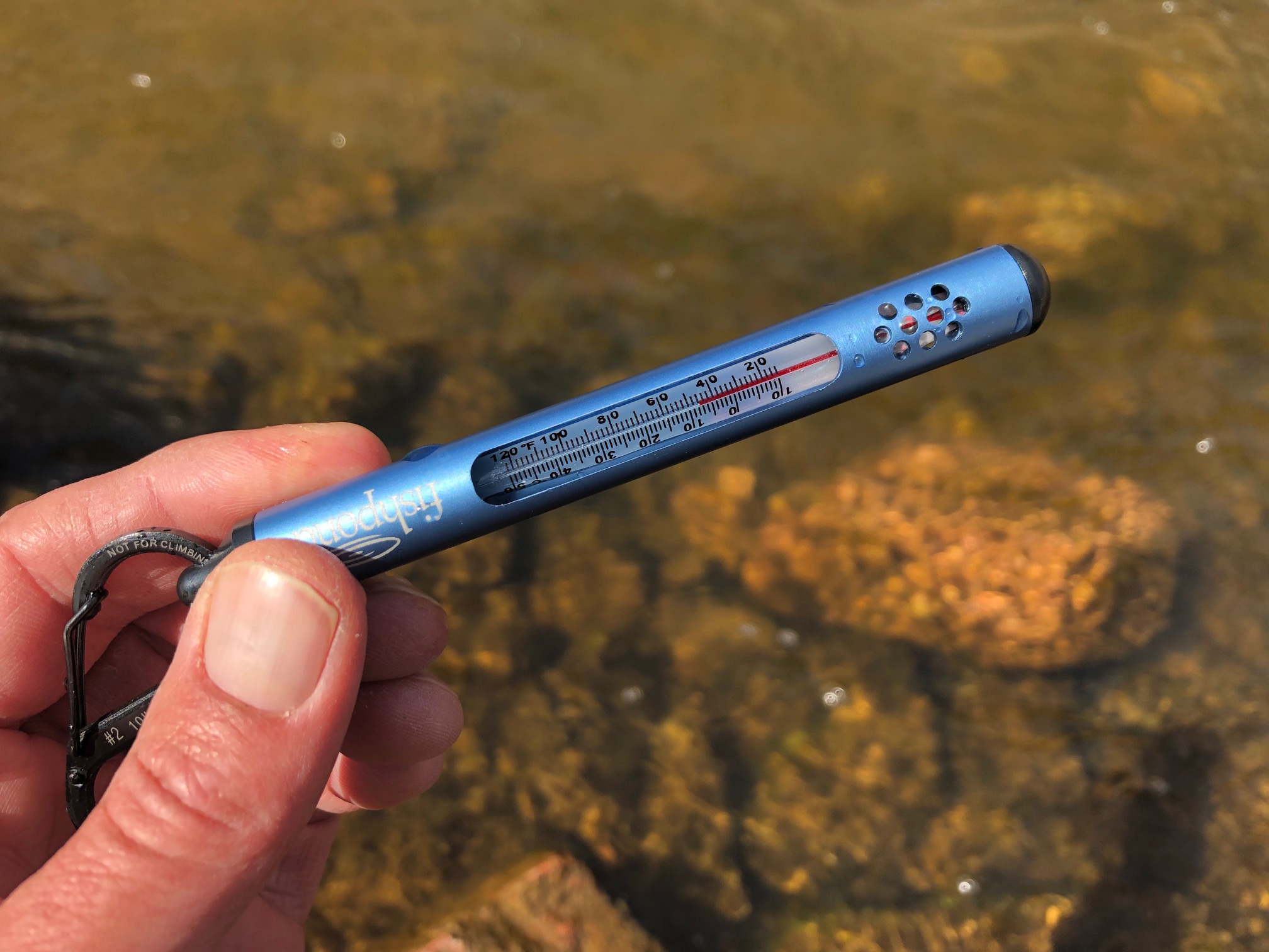 Jason Klass Fishing Tenkara on the St. Vrain